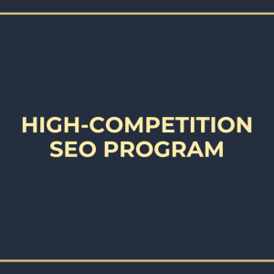 High-Competition SEO Program